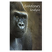 Evolutionary Analysis