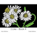 I Like - Book 4: VI