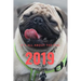 It;s All about the Pug: Pug Life