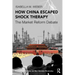 How China Escaped Shock Therapy: The Market Reform Debate