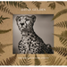David Gulden: Nor Dread Nor Hope Attend: Photographs from the Plains of Africa