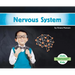 Nervous System