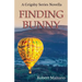 Finding Bunny