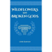 Wildflowers and Broken Gods