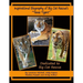 Inspirational Biography of Big Cat Rescue's "Texas Tigers"