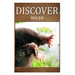 Moles - Discover: Early reader's wildlife photography book