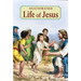 Illustrated Life of Jesus