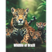 Wildlife of Brazil: coloring book