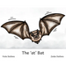 The 'at' Bat