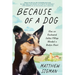 Because of a Dog: How an Enchanted Italian Village Mended a Broken Heart