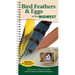 Bird Feathers & Eggs of the Midwest: Identify 40 Species of Common Backyard Birds