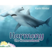 Harmony the Hammerhead
