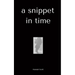 A snippet in time