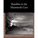 Rambles in the Mammoth Cave