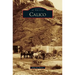 Calico