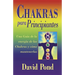 Chakras Para Principiantes: Una Guia Para Equilibrar la Energia de Sus Chakras = Chakras for Beginners