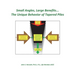 Small Angles, Large Benefits...The Unique Behavior of Tapered Piles