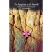 The Surprise of the Sacred: Finding God in Unexpected Places