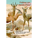 Follow on Hinds' Feet: Study Guide to Hinds' Feet on High Places