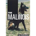 The Malinois