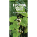 Florida Invasive Plants: How to Identify Invasive Species