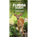 Florida Wildlife: An Introduction to Familiar Species