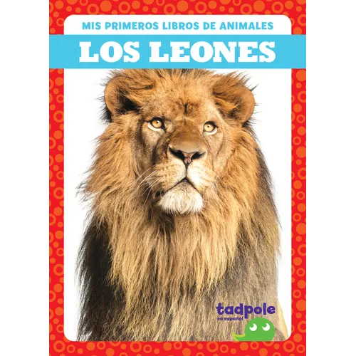 Los Leones (Lions)