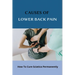 Causes Of Lower Back Pain: How To Cure Sciatica Permanently: How To Heal Your Sciatica