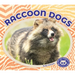 Raccoon Dogs