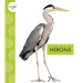 Herons