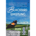 Blackbird Whistling
