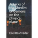 Attacks of the Shedim or demons on the physical plane