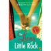 The Lions of Little Rock