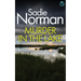 Murder in the Lake: a gripping British Crime Mystery