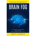 Brain Fog: A Practical Guide to Banishing Brain Fog (Everything Entrepreneurs Need to Know About Overcoming Brain Fog)