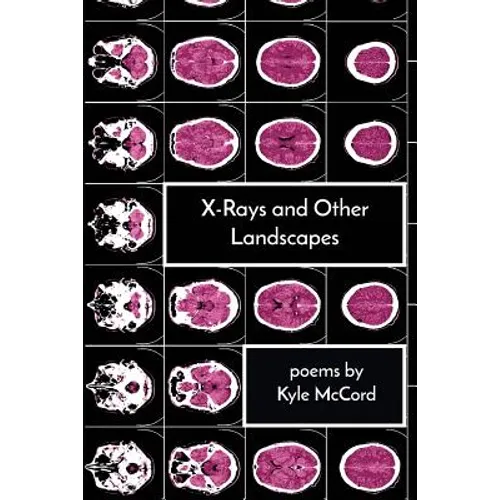 X-Rays and Other Landscapes