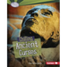 Chilling Ancient Curses