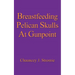 Breastfeeding Pelican Skulls At Gunpoint