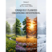 Uniquely Flawed Creations Devotional: Be Confident in Being You! (Shine for Jesus) Volume 1