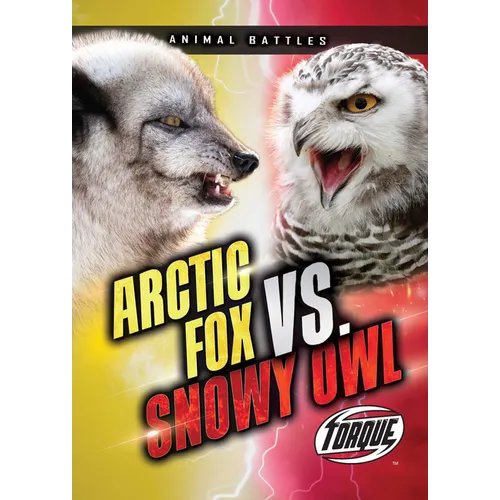 Arctic Fox vs. Snowy Owl