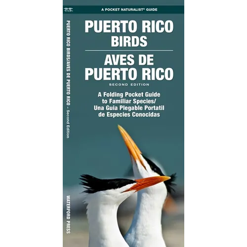 Puerto Rico Birds/Aves de Puerto Rico, 2nd Ed