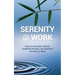 Serenity @ Work: How to surrender control, establish serenity, and maintain serenity @ work
