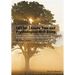 CBT for Chronic Pain and Psychological Well-Being: A Skills Training Manual Integrating Dbt, Act, Behavioral Activation and Motivational Interviewing