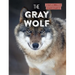 The Gray Wolf