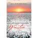 A Place Called Winston: A Novel of Historical Fiction