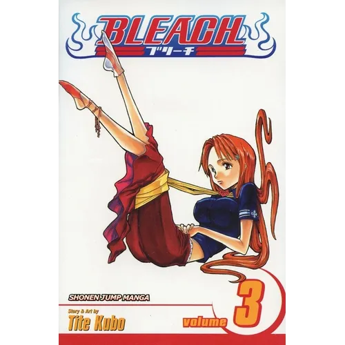 Bleach, Volume 3