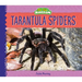 Tarantula Spiders