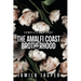 The Amalfi Coast Brotherhood Complete Trilogy: BWWM Dark Mafia Romance