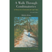 Walk Through Combinatorics (2ed)