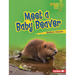 Meet a Baby Beaver
